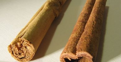 Tipos de canela