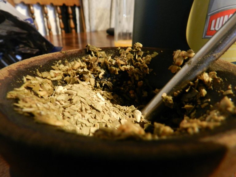 cebado de yerba mate