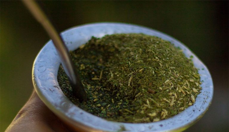 yerba mate y te verde