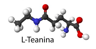 Propiedades de la l-teanina