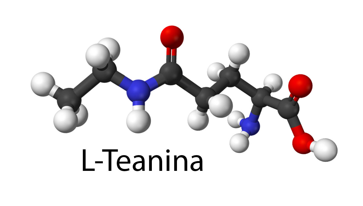 L-teanina, propiedades, beneficios y contraindicaciones